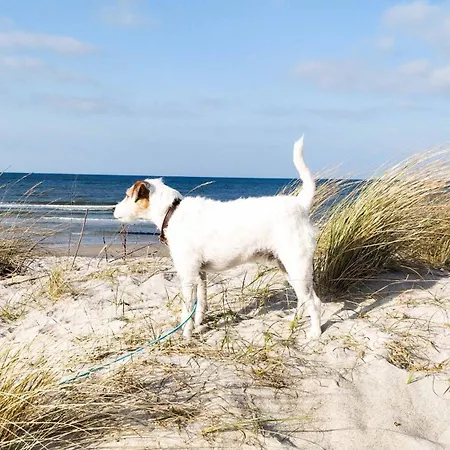 Achtern Diek * Schönberg in Holstein