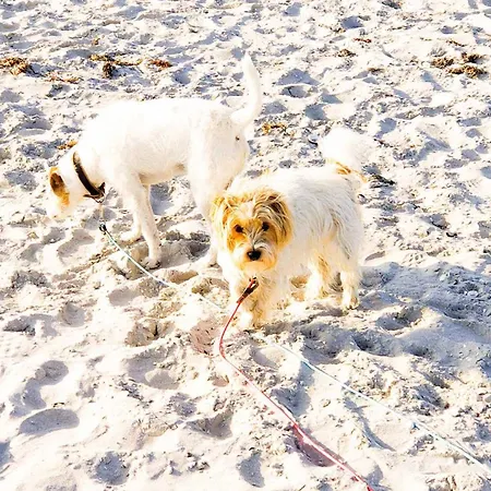 Dom wakacyjny Achtern Diek